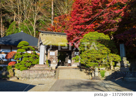 秋の山形県山形市　紅葉の立石寺（山寺）　山門 137290699