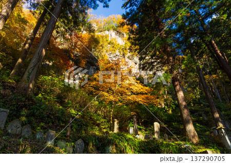 秋の山形県山形市　紅葉の立石寺（山寺） 137290705