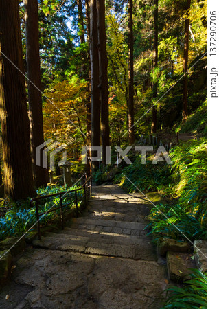 秋の山形県山形市　紅葉の立石寺（山寺）　参道 137290706