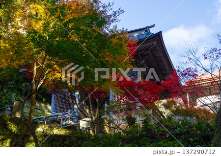 秋の山形県山形市 紅葉の立石寺(山寺) 仁王門 秋の山形県山形市 紅葉の立石寺(山寺) 仁王門 137290712