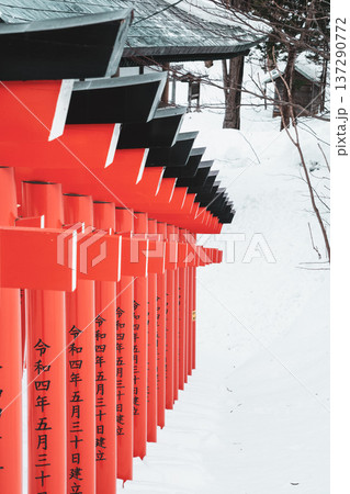 立ち並ぶ鳥居と積雪-Rows of Torii Gates and Snow- 立ち並ぶ鳥居と積雪-Rows of Torii Gates and Snow- 137290772