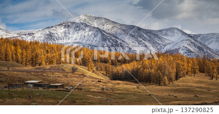 Scenic autumn landscape with snowy mountain and rustic cabin in countryside 137290825