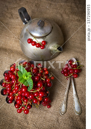 juicy currant berries on burlap near an old teapot 137290955