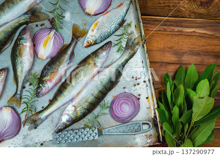 Fresh fish top view. Spicy herb and vegetables. fish and spices on a metal table. Healthy food cooking. 137290977