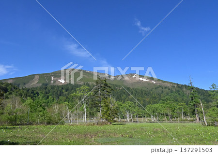 尾瀬ヶ原から至仏山の眺め 尾瀬ヶ原から至仏山の眺め 137291503