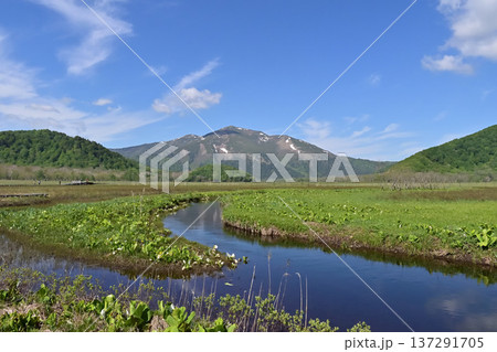 尾瀬ヶ原から至仏山の眺め 尾瀬ヶ原から至仏山の眺め 137291705