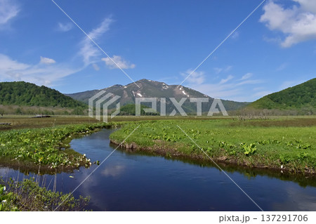 尾瀬ヶ原から至仏山の眺め 137291706