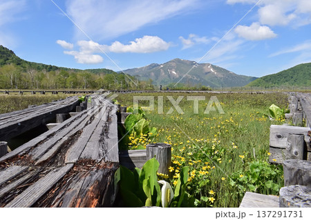 尾瀬ヶ原から至仏山の眺め 尾瀬ヶ原から至仏山の眺め 137291731