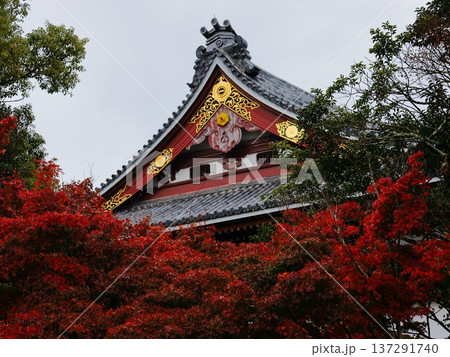 一畑山薬師寺の紅葉 一畑山薬師寺の紅葉 137291740