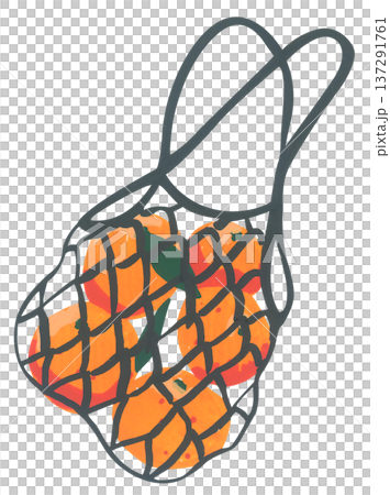 Hand Drawn Mesh Bag with Oranges Illustration Hand Drawn Mesh Bag with Oranges Illustration 137291761