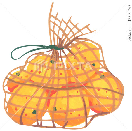 Hand Drawn Mesh Bag with Oranges Illustration Hand Drawn Mesh Bag with Oranges Illustration 137291762