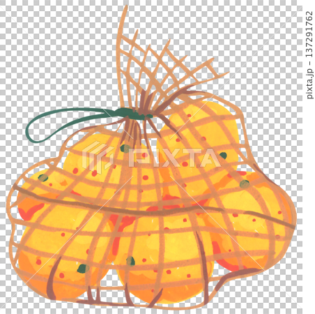 Hand Drawn Mesh Bag with Oranges Illustration Hand Drawn Mesh Bag with Oranges Illustration 137291762