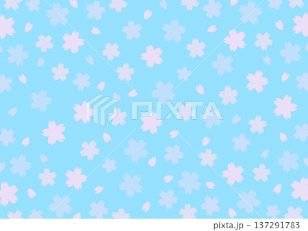 背景 桜の花のパターン 水色 背景 桜の花のパターン 水色 137291783