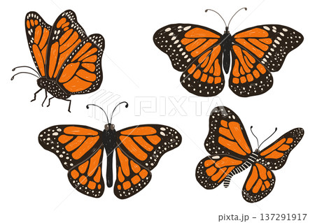Monarch butterfly set in childlike hand drawn wildlife illustration style Monarch butterfly set in childlike hand drawn wildlife illustration style 137291917