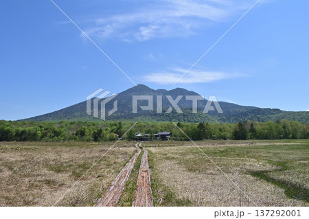 尾瀬ヶ原から燧ヶ岳の眺め 137292001