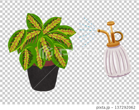 Mist spray and potted maranta - watercolor hand-drawn illustration Mist spray and potted maranta - watercolor hand-drawn illustration 137292062