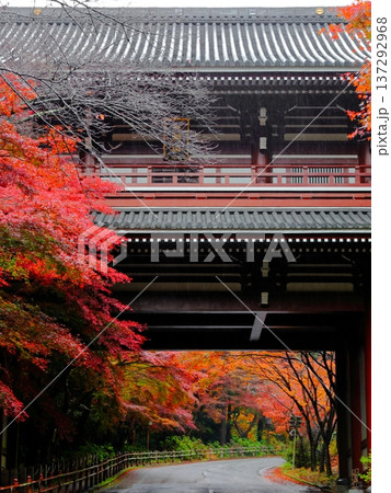 一畑山薬師寺の山門と紅葉 一畑山薬師寺の山門と紅葉 137292968