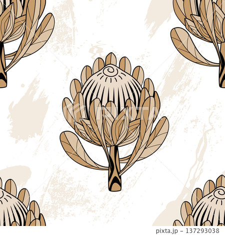 Hand drawn Protea flower graphic seamless pattern. Protea line drawing tribal style background. Vector illustration Hand drawn Protea flower graphic seamless pattern. Protea line drawing tribal style background. Vector illustration 137293038