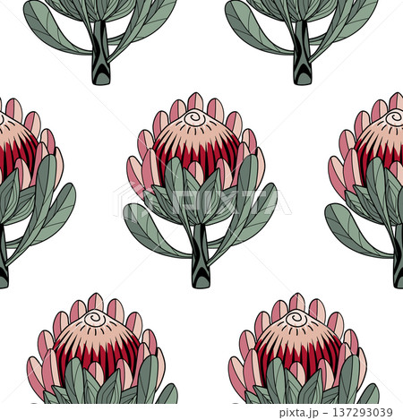 Hand drawn Protea flower graphic seamless pattern. Protea line drawing tribal style background. Vector illustration Hand drawn Protea flower graphic seamless pattern. Protea line drawing tribal style background. Vector illustration 137293039