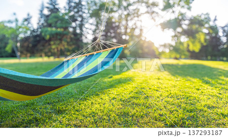 Colorful hammock hanging in sunny green garden backyard, blurred background 137293187