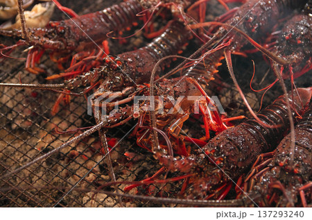 伊勢海老の炭火焼き 137293240
