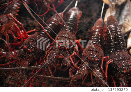 伊勢海老の炭火焼き 伊勢海老の炭火焼き 137293270