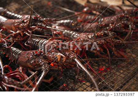 伊勢海老の炭火焼き 伊勢海老の炭火焼き 137293397