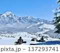 ゲレンデの風景 137293741