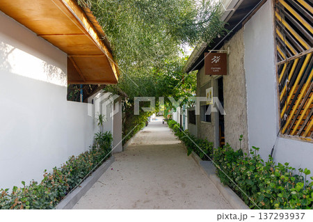 Lush greenery arches over a tranquil pathway 137293937