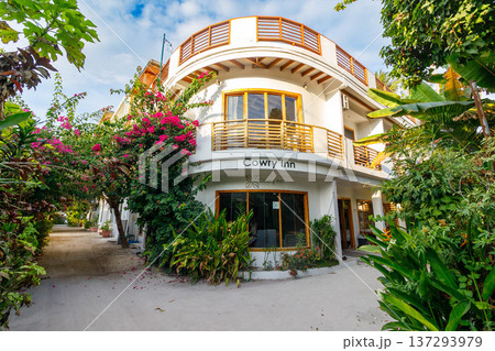 Lush greenery frames a modern, curved building 137293979