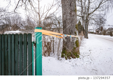 Fence Post Secured To Large Oak Tree For Structural Stability Fence Post Secured To Large Oak Tree For Structural Stability 137294357