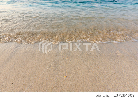 Soft waves kiss golden sand gently 137294608