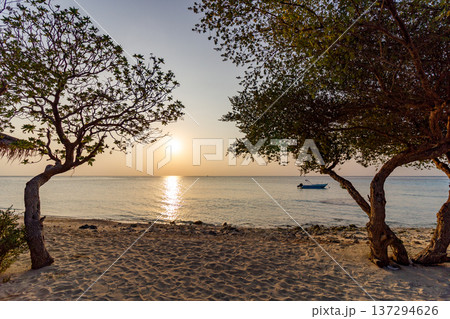 Sun sets over calm ocean, casting golden glow Sun sets over calm ocean, casting golden glow 137294626