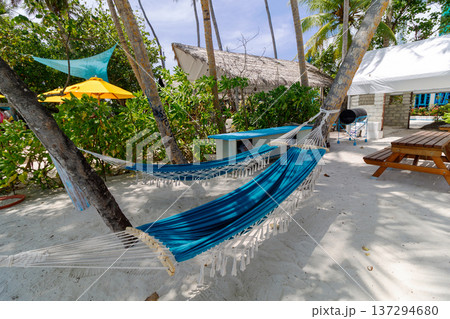 Blue hammock rests between palm trees 137294680
