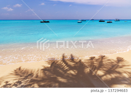 Sunlit beach with turquoise waters and soft white sand 137294683