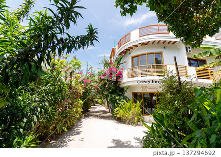 Lush greenery frames a charming guesthouse 137294692