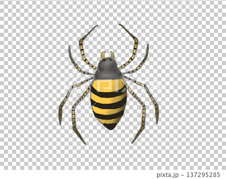 蜘蛛的插圖 蜘蛛的插圖 137295285