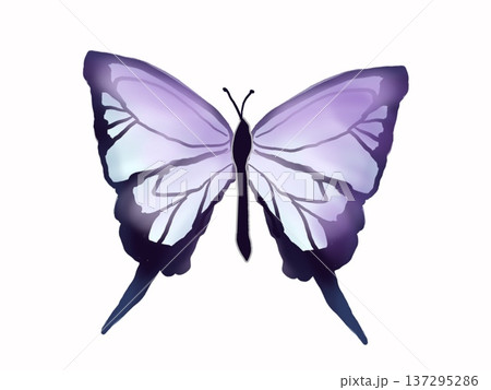 羽を広げている蝶のイラスト 137295286