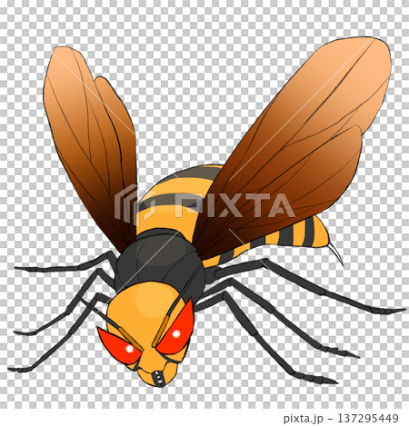 スズメバチのイラスト スズメバチのイラスト 137295449