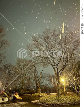 夜の公園に降る雪と遊具のある冬風景 夜の公園に降る雪と遊具のある冬風景 137295732