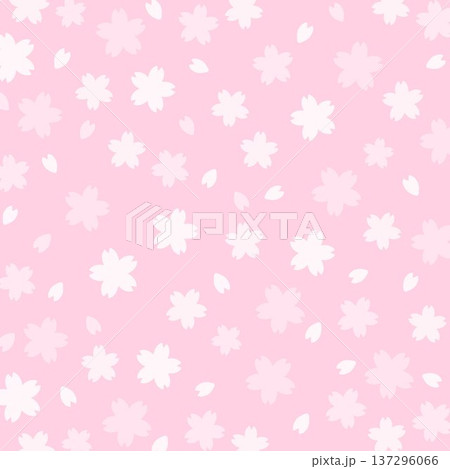 正方形の背景 桜の花のパターン ピンク 正方形の背景 桜の花のパターン ピンク 137296066