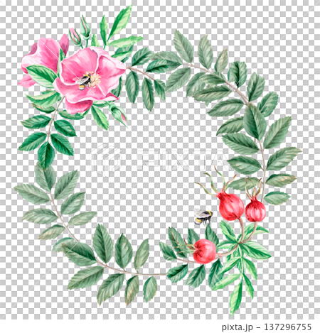 A round frame with rose hips, leaves, and flowers. Isolated watercolor illustration for herbal tea-themed designs, culinary and nature-related branding, environmental campaigns, educational materials. 137296755