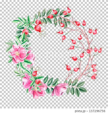 A round frame with a rosehip branch, flowers, and berries. Isolated watercolor illustration for herbal tea-themed designs, culinary and nature-related branding, environmental campaigns,. A round frame with a rosehip branch, flowers, and berries. Isolated watercolor illustration for herbal tea-themed designs, culinary and nature-related branding, environmental campaigns,. 137296756