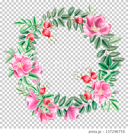 A round frame with rose hips and flowers. Isolated watercolor illustration for herbal tea-themed designs, culinary and nature-related branding, environmental campaigns, and educational materials. A round frame with rose hips and flowers. Isolated watercolor illustration for herbal tea-themed designs, culinary and nature-related branding, environmental campaigns, and educational materials. 137296758