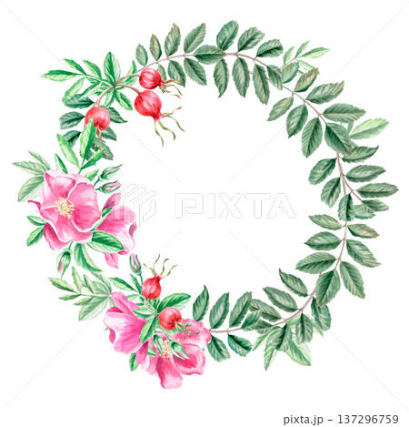 A wreath with flowers and rose hips. Isolated watercolor illustration for herbal tea-themed designs, culinary and nature-related branding, environmental campaigns, and educational materials. A wreath with flowers and rose hips. Isolated watercolor illustration for herbal tea-themed designs, culinary and nature-related branding, environmental campaigns, and educational materials. 137296759