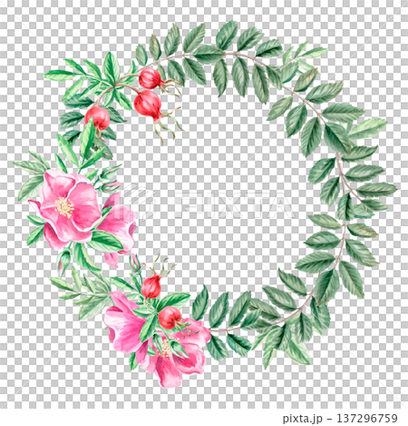 A wreath with flowers and rose hips. Isolated watercolor illustration for herbal tea-themed designs, culinary and nature-related branding, environmental campaigns, and educational materials. A wreath with flowers and rose hips. Isolated watercolor illustration for herbal tea-themed designs, culinary and nature-related branding, environmental campaigns, and educational materials. 137296759