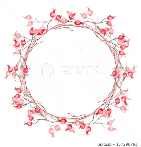 A wreath of rose hips and branches. Isolated watercolor illustration for herbal tea-themed designs, culinary and nature-related branding, environmental campaigns, and educational materials. 137296763