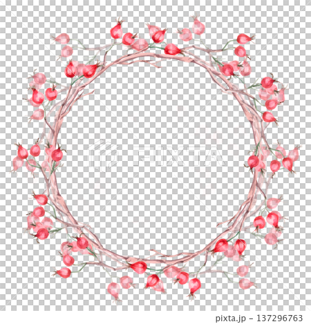 A wreath of rose hips and branches. Isolated watercolor illustration for herbal tea-themed designs, culinary and nature-related branding, environmental campaigns, and educational materials. 137296763