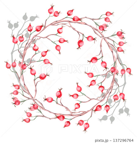 A wreath of bare branches and rose hips. Isolated watercolor illustration for herbal tea-themed designs, culinary and nature-related branding, environmental campaigns, and educational materials. A wreath of bare branches and rose hips. Isolated watercolor illustration for herbal tea-themed designs, culinary and nature-related branding, environmental campaigns, and educational materials. 137296764