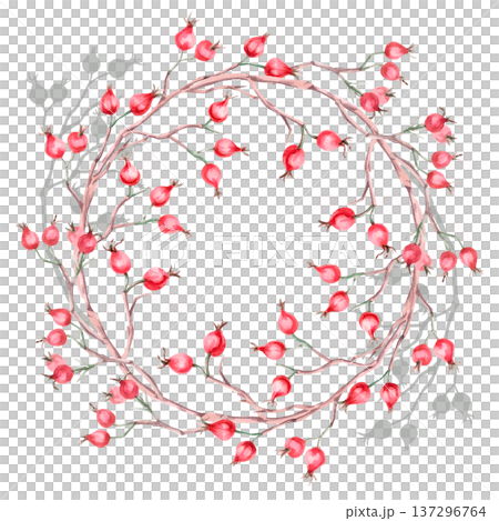A wreath of bare branches and rose hips. Isolated watercolor illustration for herbal tea-themed designs, culinary and nature-related branding, environmental campaigns, and educational materials. A wreath of bare branches and rose hips. Isolated watercolor illustration for herbal tea-themed designs, culinary and nature-related branding, environmental campaigns, and educational materials. 137296764